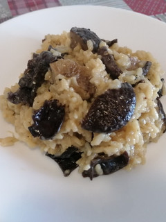 Una foto de 53. Risotto de setas
