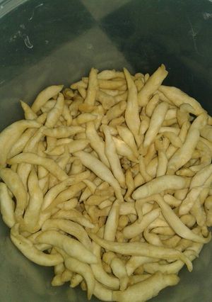 Foto resep Telor gabus gurih hemat