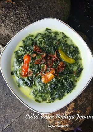 Foto resep Gulai Daun Pepaya Jepang Sederhana