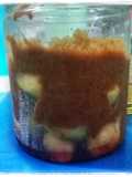 Rujak Kedondong Special In The Jar
