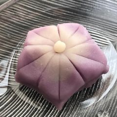 A picture of Nerikiri Wagashi  "桔梗 (balloon flower)".