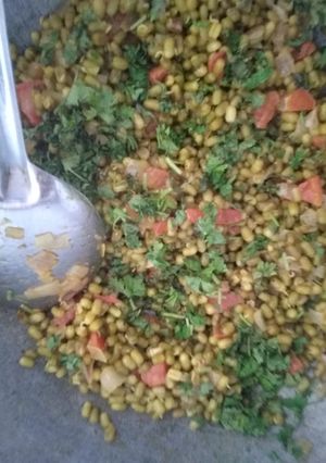 ફણગાવેલાં મગનું શાક(Sprouted mung sabji recipe in Gujarati) રેસીપી મુખ્ય ફોટો