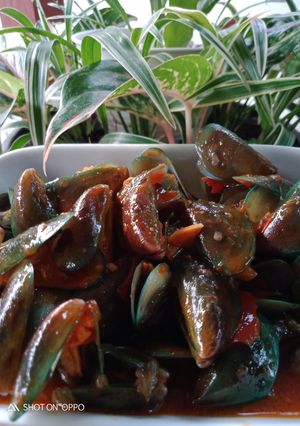 Foto resep Kerang hijau saos Padang simpel