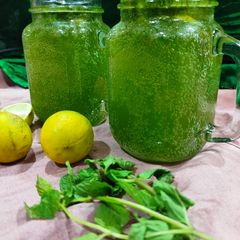 A picture of Fresh Mint Mojito.
