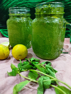 A picture of Fresh Mint Mojito.
