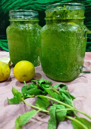 A picture of Fresh Mint Mojito.