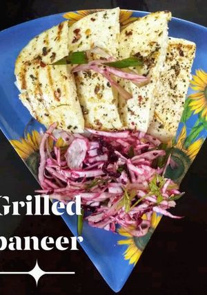 A picture of Grilled paneer.
