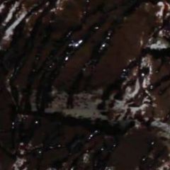 A picture of Oreo ice cream.