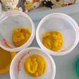 Chicken pumpkin puree