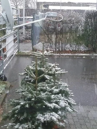 Easy Way Prepare My seafood soup with corn bread the Perfect Delicious