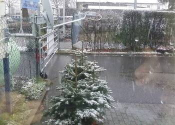 Update, Making Recipe My seafood soup with corn bread Delicious