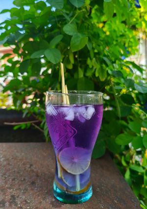 Foto resep Es Sereh Bunga Telang