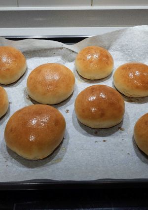 Una foto de Panets d'hamburguesa
