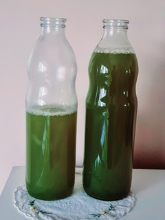 Una foto de Infusión fresca de jengibre, matcha, anís y limón 🫚