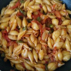 A picture of Shell pasta.