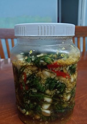 Hình của món Củ kiệu cuộn ngâm nước mắm.