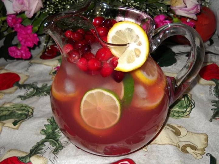 Easy Steps to Prepare Cranberry Lemonade the Perfect Appealing