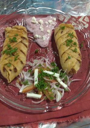 A picture of Bhakarwadi wrap.