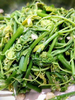 涼拌蒜香龍鬚菜 的食譜成品照片