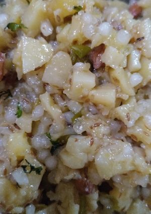 સાબુદાણા ની ખીચડી (Sabudana Khichdi Recipe In Gujarati) રેસીપી મુખ્ય ફોટો