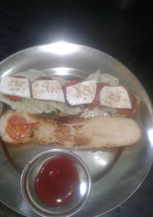 A picture of Hot dog.