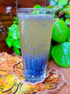 عکسی از دستور شربت کاسنی