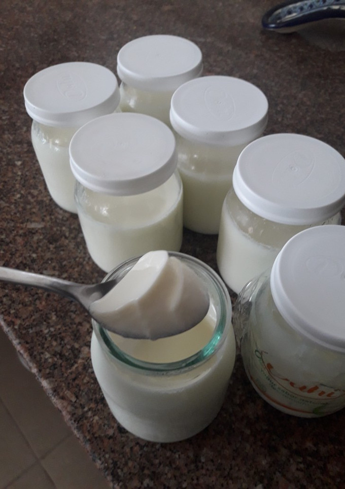 Una foto de Yogur casero