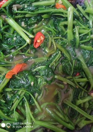 Foto resep Cah kangkung saus tiram super expres
