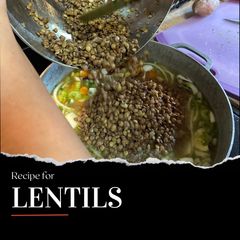 Lentils A picture of Lentils.