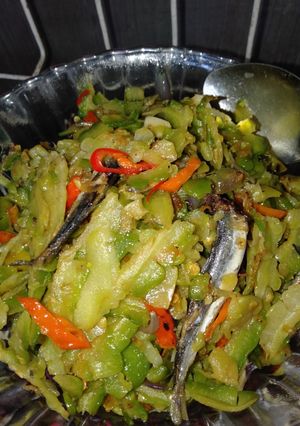 Foto resep Tumis pare yummy