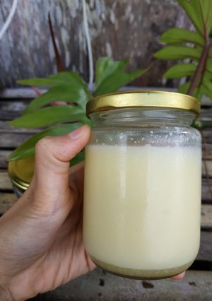 Foto resep Minyak Lemak Ayam MPASI (Schmaltz)