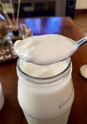 A picture of Homemade Yogurt (Cold-Start Method).