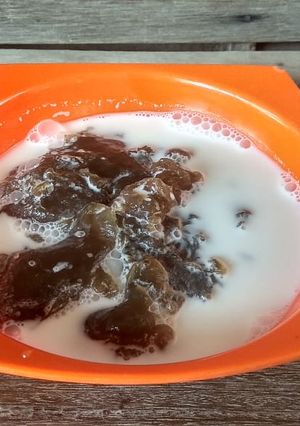 Foto resep Bubur sagu