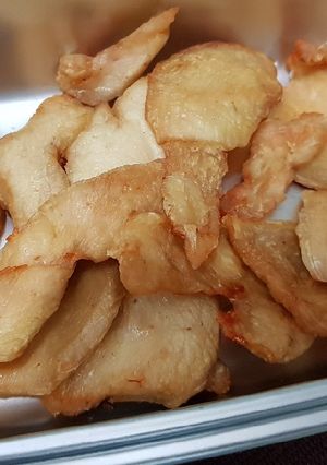 氣炸鍋-寵物零食雞肉片 的食譜成品照片
