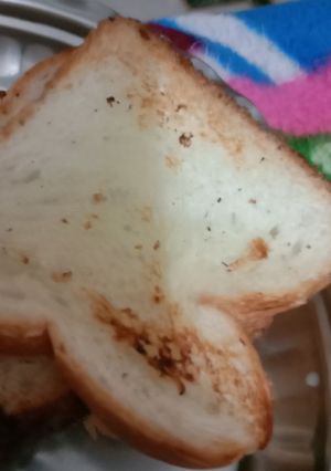 A picture of Roasted bread.