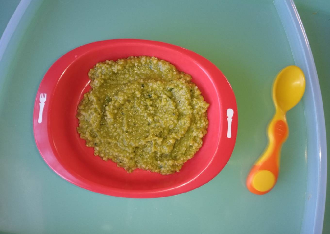 Papilla de transición bebé 9 meses