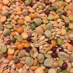 A picture of Homemade Soup Mix.