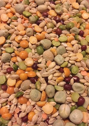 A picture of Homemade Soup Mix.