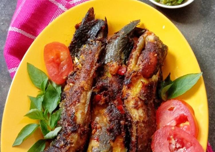 Cara Buat Lele Panggang Teflon Enak 134 Resep Lele Bakar Teflon Enak