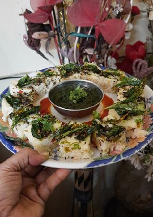 A picture of Sooji Rava mixed vegetables dhokla.
