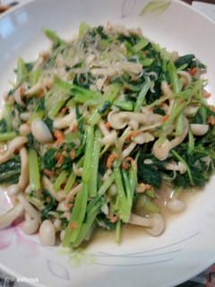 莧菜白靈菇炒冬粉 的食譜成品照片