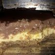 Postre de vainillas