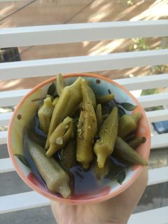 عکسی از دستور ترشی بامیه