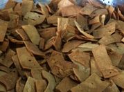 A picture of tortilla snacks