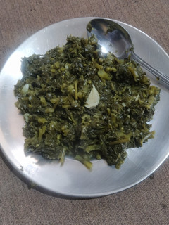 عکسی از دستور توله جان