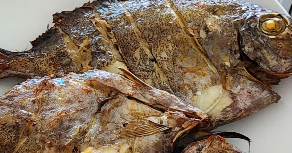 Cách Làm Món Cá Rìa Công Nướng Sả của Nhà Vân - Cookpad