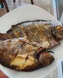 Cá rìa công nướng sả