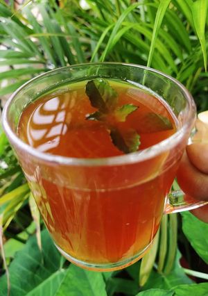 A picture of Honey Lemon Tea Recipe | Simple Mug Beverage.