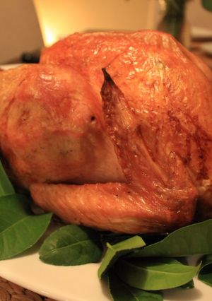 A picture of Dry Brined Turkey - you'll be giving thanks for this recipe for years to come :D.