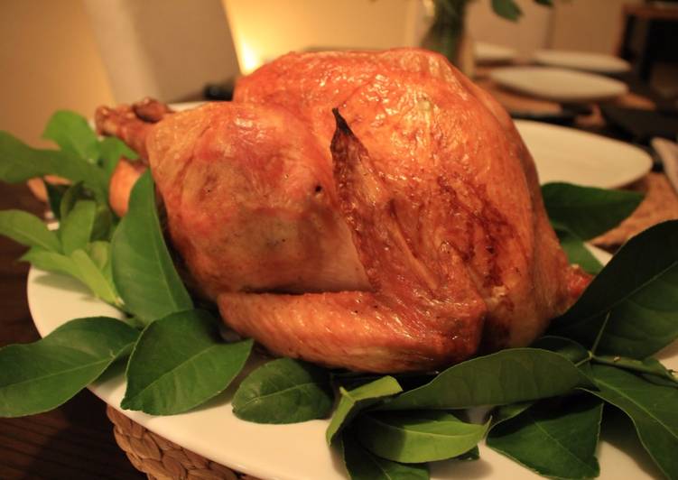 Recipe of Super Quick Homemade Dry Brined Turkey - you&#39;ll be giving thanks for this recipe for years to come :D